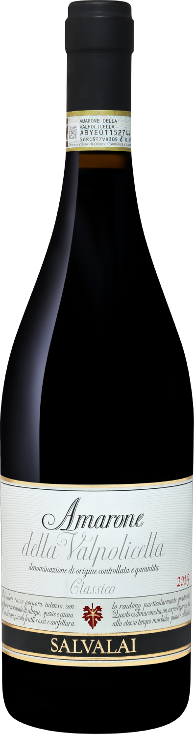 Salvalai Classico Amarone della Valpolicella DOCG Cesari